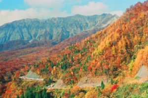 北海道紅葉旅