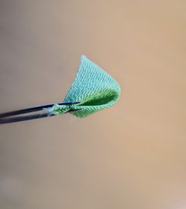 折りたたんだ布をピンセットでつまむ様子